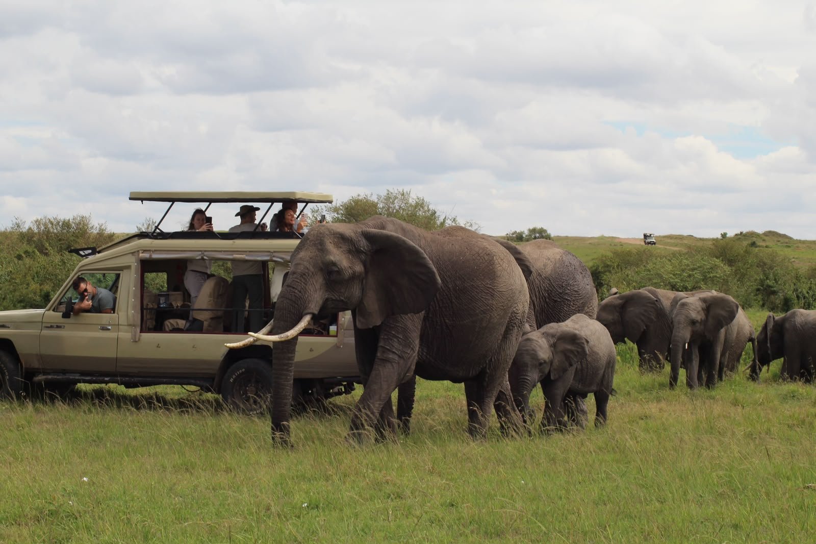 Amboseli
