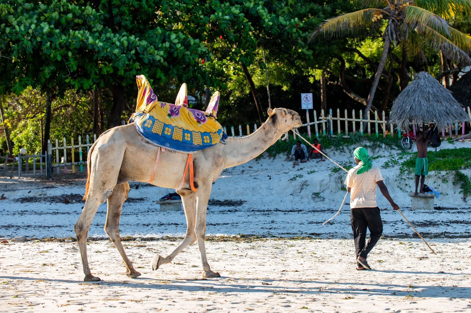 Diani Beach